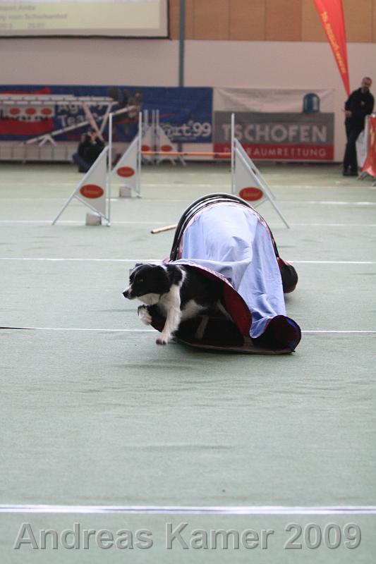 IMG_2373.jpg