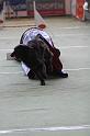 IMG_2401