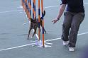 IMG_0298