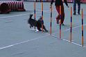 IMG_0307