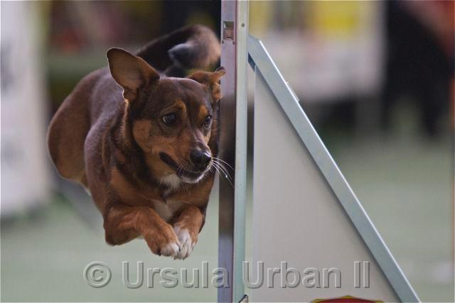 CY7C7298.jpg