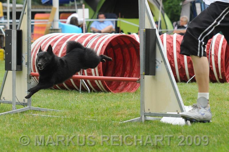 DSC_7265.jpg