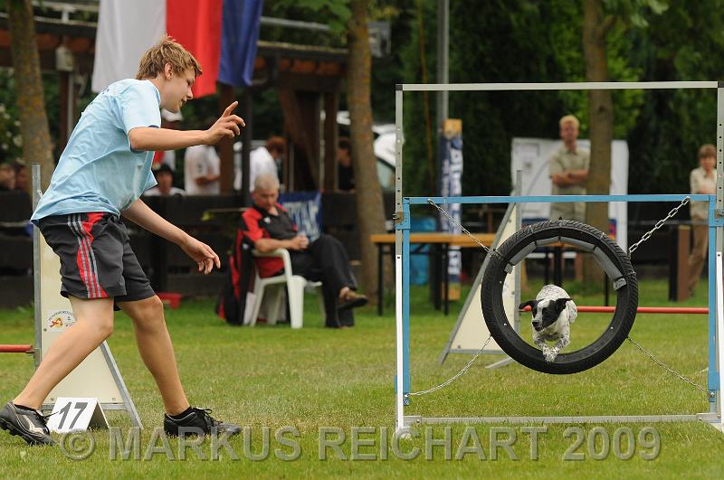 DSC_7295.jpg