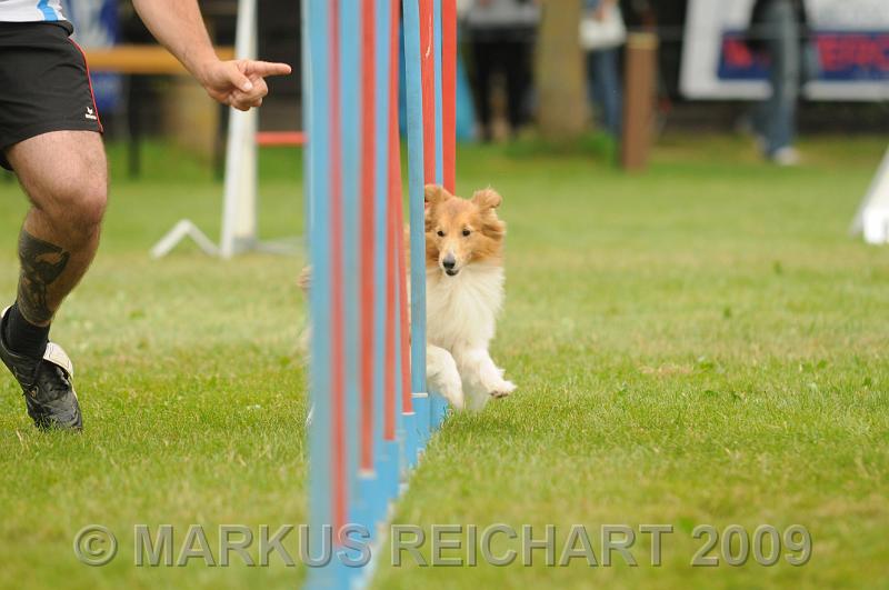 DSC_7330.JPG