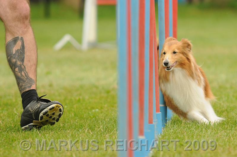 DSC_7331.jpg