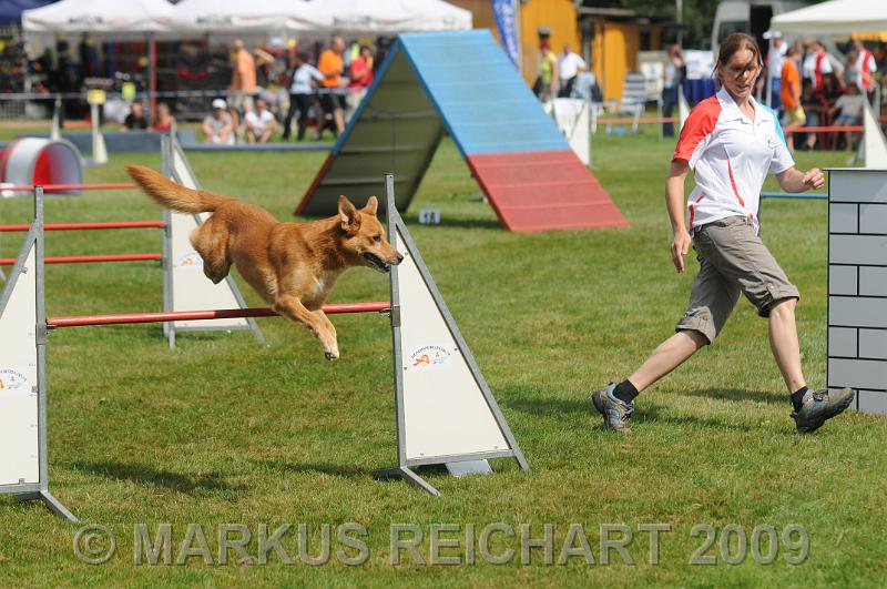 DSC_7463.JPG
