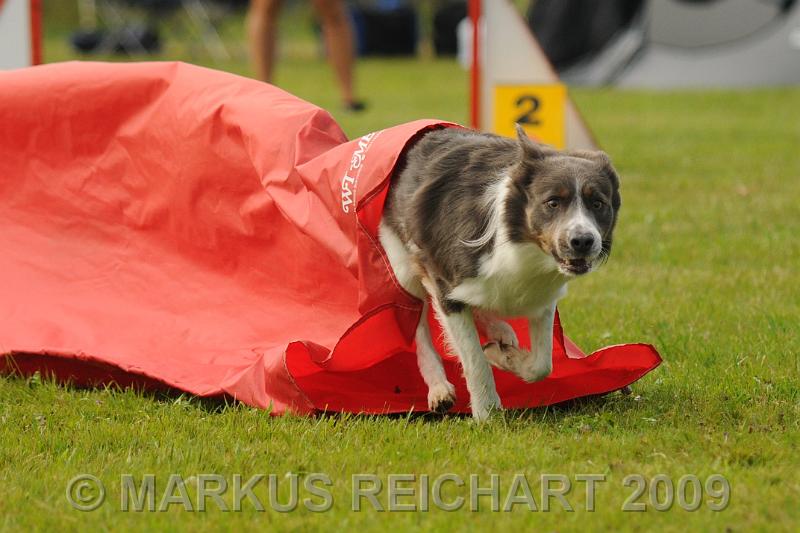 DSC_6427.jpg