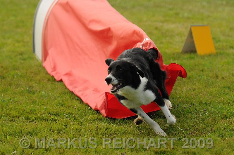 DSC_6428.jpg