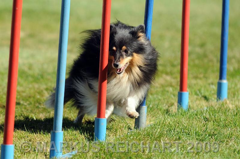 DSC_6756.jpg