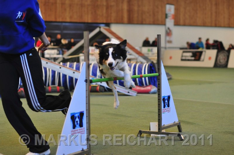 MGR_7719.jpg - M G REICHART