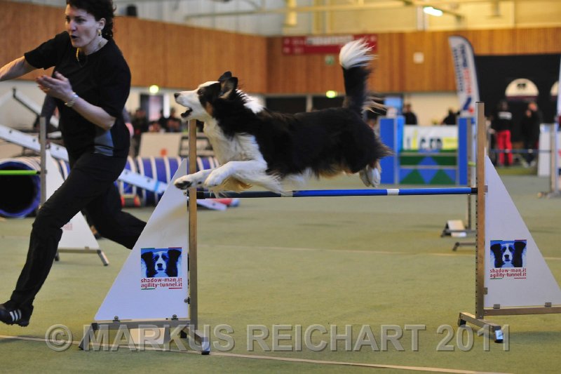 MGR_7728.jpg - M G REICHART