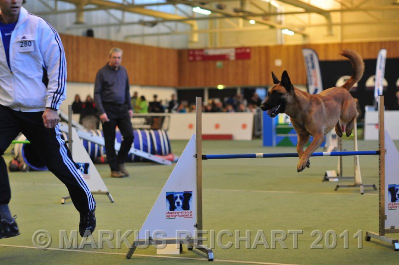 MGR_7733.jpg - M G REICHART