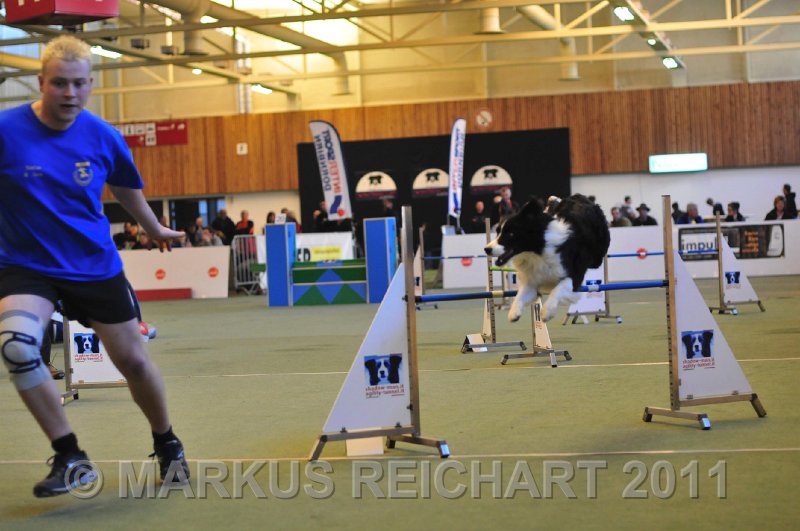 MGR_7735.jpg - M G REICHART