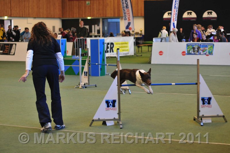 MGR_7818.jpg - M G REICHART