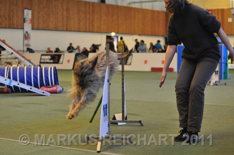 MGR_7822.jpg - M G REICHART