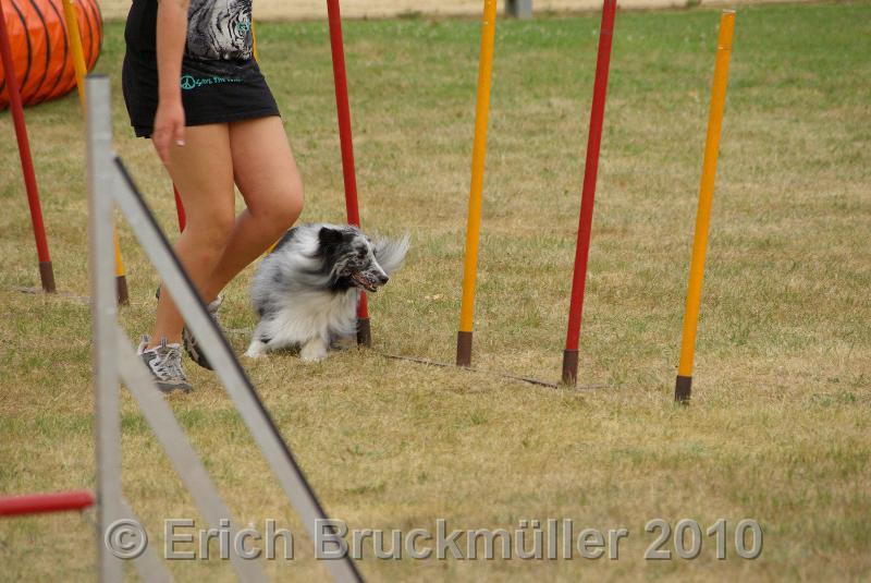 IMGP7201.JPG