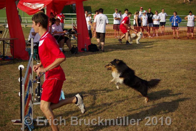 IMGP7485.JPG
