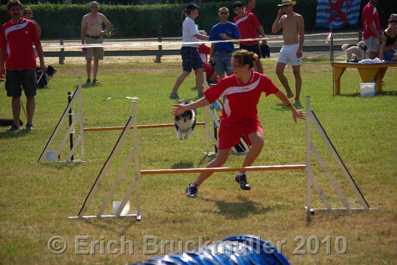 IMGP7618.JPG