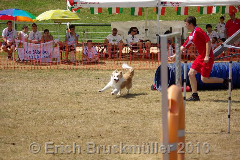 IMGP7943.JPG