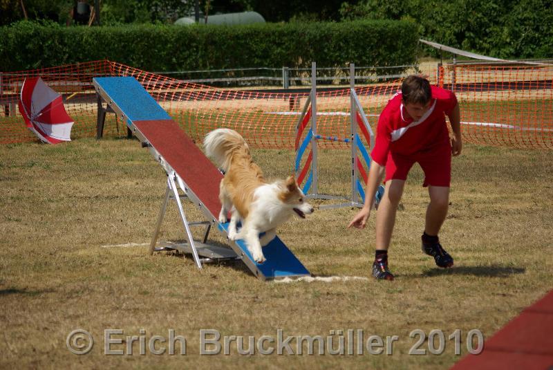 IMGP7950.JPG