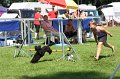 IMG_1667
