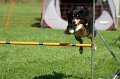 IMG_1689