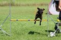IMG_1705