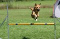 IMG_1712
