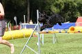 IMG_1787