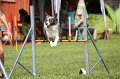 IMG_1795
