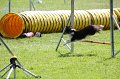 IMG_1841