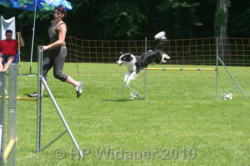 IMG_0050.JPG