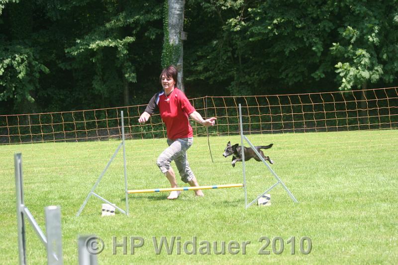 IMG_0115.JPG