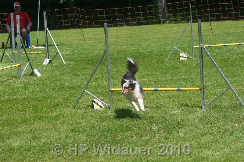 IMG_0145.JPG