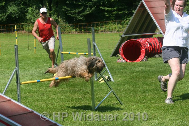 IMG_0212.JPG
