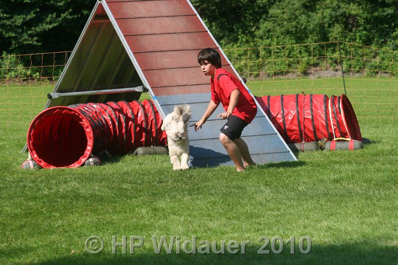 IMG_0253.JPG