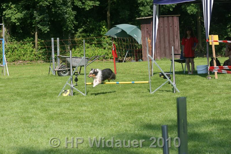 IMG_0260.JPG