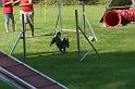 IMG_0245