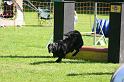 IMG_0357