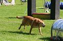 IMG_0379