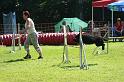 IMG_0400