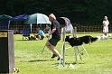 IMG_0429