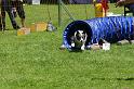 IMG_0498