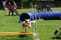 IMG_0524