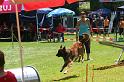 IMG_0540