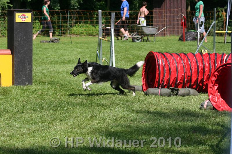 IMG_0594.JPG
