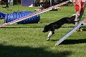 IMG_0576