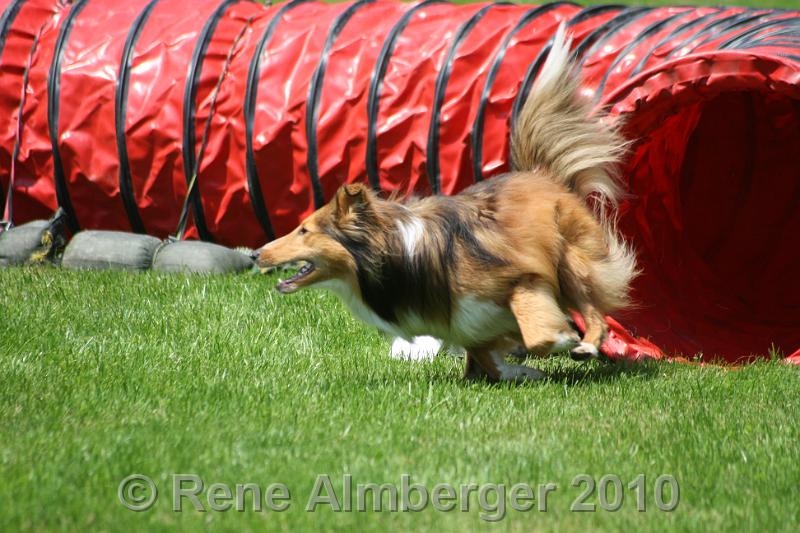 IMG_2753.jpg