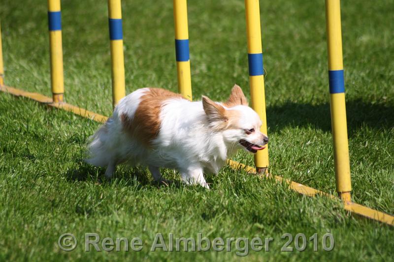 IMG_2963.jpg