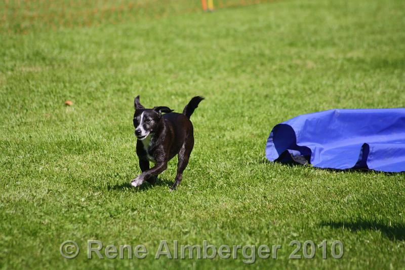 IMG_2970.jpg